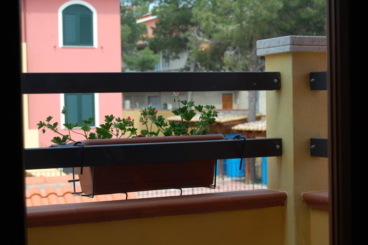 L'agave Sant'Antioco